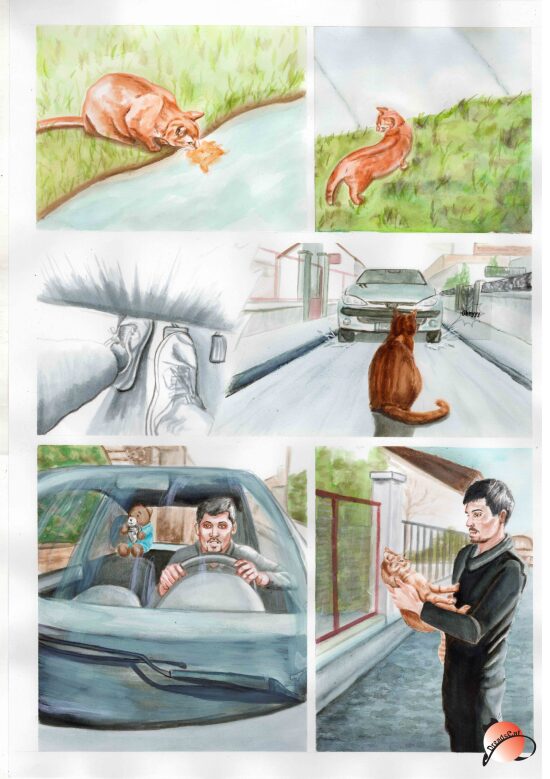 BD "Chat potté imerssion dans la vrais vie"